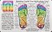 Health & Personal Care : Inner Light Resources Rainbow Cards & Charts Series - Foot Reflexology (rainbw coded) - Original Rainbow Series Wallet Cards