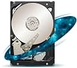 Seagate Constellation ES 7200 1TB interne Festplatte (8,9 cm (3,5 Zoll)7200rpm, 64MB cache, SATA 6Gb/s) schwarz
