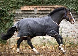 Rhino Original Medium Turnout