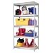 1000 Series 72" H Five Shelf Shelving Unit