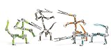  : Acrobot Dragons - Bronze