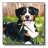 Appenzeller Mountain Dog - 10x10 Wall Clock