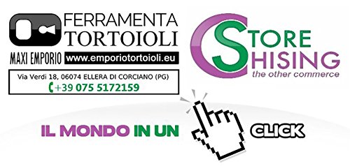 Lo storechising (Italian Edition)