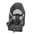 Evenflo Maestro Car Seat Booster, Adele
