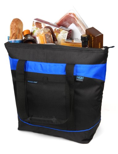 Rachel Ray 7-65540-09-99 Jumbo Chill-Out Tote