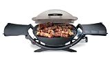 Weber 396002 Q 200 Gas Grill