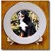 Dogs Bernese Mountain Dog - Bernese Mountain Dog - Plates
