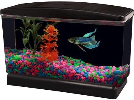 Full Hood Aqua Culture BettaView Aquarium Generous 0.5 Gallon