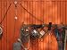 Cluttered Cables and Wires Hanging Against Orange Shed Wall Photographic Poster Print...