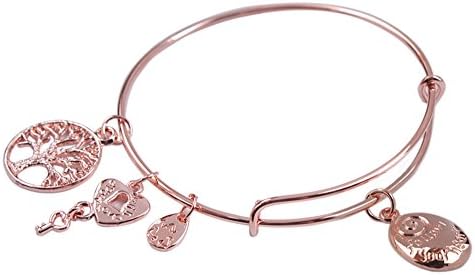 JIYIJewelry (TM) Rose Gold Plate Expandable Wire Follow Your Heart Charm Bracelet Bangle