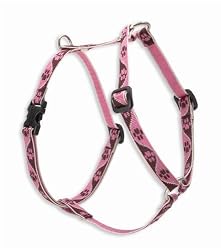 Tickled Pink - 1/2 in. Lupine Adjustable Roman Style Harness - 9 in. to 14 in.