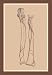 Buyenlarge - The Skeleton #1 20x30 poster