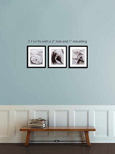 Conch Shell Art Print Nautical Decor Beach Wall Art Black and White Photo Sepia Coastal Art by Mike Smith Photo