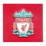 Liverpool FC Authentic EPL Fridge Magnet SQ