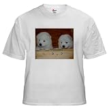 Sammy Boys White T-Shirt Pets White T-Shirt by CafePress