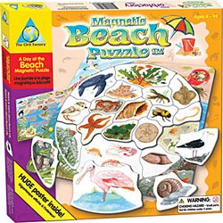 Magnetic Beach Puzzle