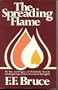 The Spreading Flame:  The Rise and Progress of Christianity from its First Beginnings to the Conversion of the English