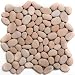 Champagne Pink Pebble Tile