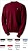Champion Double Dry Classic Fleece Crew S2226, Stadium Blue, L