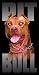DOG PITBULL BEACH TOWEL