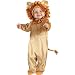 Cuddly Lion Cub Costume: Infant Size (12-18 Months)