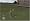 Tiger Woods PGA Tour 09 All-Play
