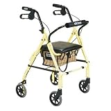 Drive Medical Mimi Lite Deluxe Aluminum Rollator, Flame Blue