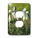 Dogs Greyhound - Greyhound - Light Switch Covers - 2 plug outlet cover