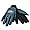 Philadelphia Eagles