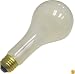 Westcott #550 500 watt Photoflood Light