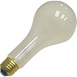 Westcott #550 500 watt Photoflood Light