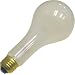 Westcott #550 500 watt Photoflood Light