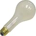 Photo : Westcott #550 500 watt Photoflood Light