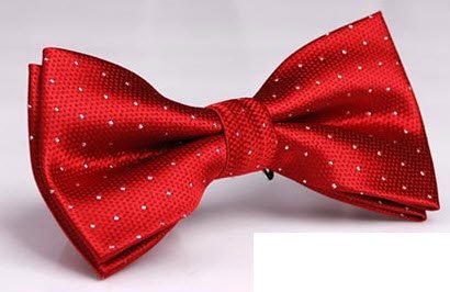 Designer Bow Ties (Y326)