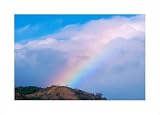 Montverde Cloud Forest Reserve, Costa Rica poster print,22.2 in. x 16 in.