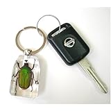 ���i�̏ڍ�