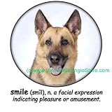 German Shepherd Smile Adult T Shirt