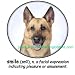 German Shepherd Smile Adult Sweatshirt