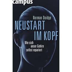 Neustart im Kopf: Wie sich unser Gehirn selbst repariert