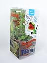 9GreenBox - Venus Fly Trap w/ Gift Box Packing Large 3" Pot CARNIVOROUS DIONAEA
