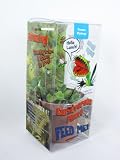 9GreenBox - Venus Fly Trap w/ Gift Box Packing Large 3