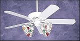 Apollo 5 Blade Ceiling Fan Appliance White Finish