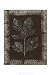 Forest Finery II - Nancy Slocum Art Print Poster 13 x 19