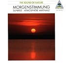 Morgenstimmung (Tilgner)