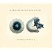 Radiolarians 1