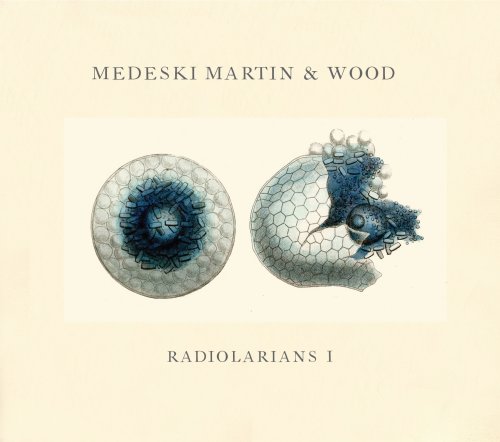 Radiolarians 1