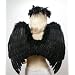 FashionWings (TM) Black Costume Feather Angel Wings & Halo for Teens Adults. Gothic Fairy Fallen Angel Dark Demon Cosplay