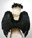 FashionWings (TM) Black Costume Feather Angel Wings & Halo for Teens Adults. Gothic Fairy Fallen Angel Dark Demon Cosplay