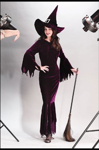 Costumes For All Occasions FW5081SD Witch Elegant Plum sm Med