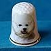 Porcelain China Collectable Thimble --- Bichon Frise Dog